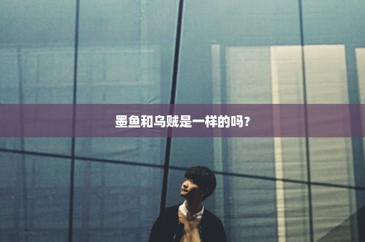 墨鱼和乌贼是一样的吗？