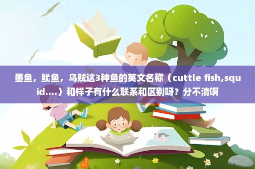 墨鱼，鱿鱼，乌贼这3种鱼的英文名称（cuttle fish,squid....）和样子有什么联系和区别呀？分不清啊