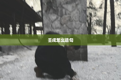 壬戌怎么造句