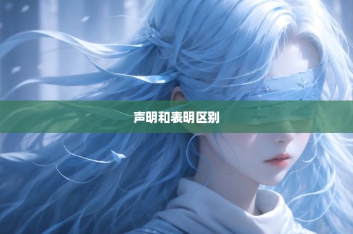声明和表明区别