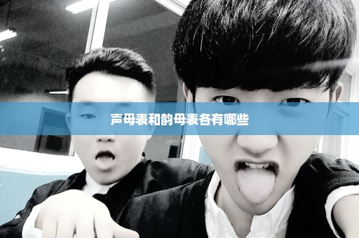 声母表和韵母表各有哪些