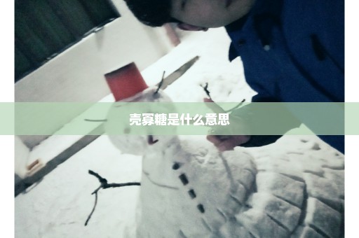 壳寡糖是什么意思