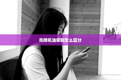 壳牌机油级别怎么区分