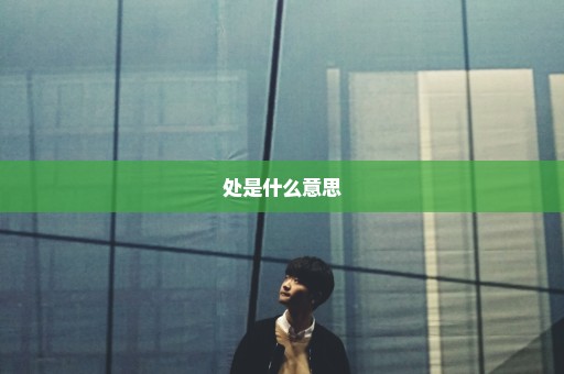 处是什么意思