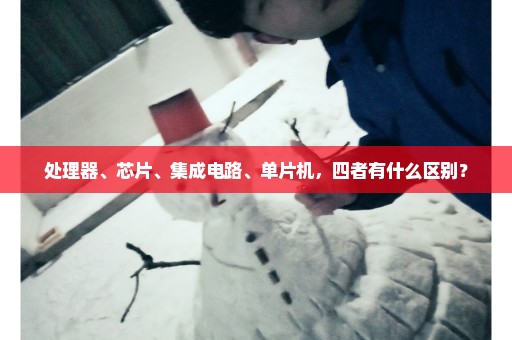 处理器、芯片、集成电路、单片机，四者有什么区别？