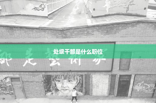 处级干部是什么职位