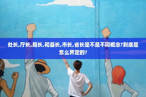 处长,厅长,局长,和县长,市长,省长是不是不同概念?到底是怎么界定的?