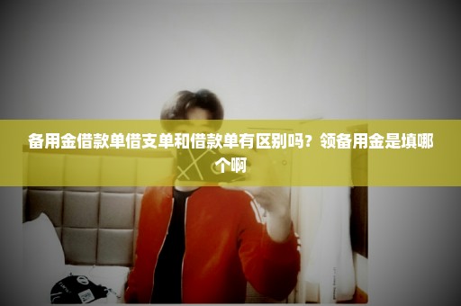 备用金借款单借支单和借款单有区别吗？领备用金是填哪个啊
