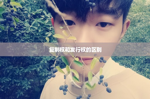 复制权和发行权的区别