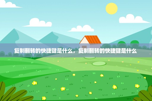 复制翻转的快捷键是什么，复制翻转的快捷键是什么 