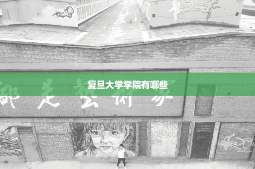 复旦大学学院有哪些