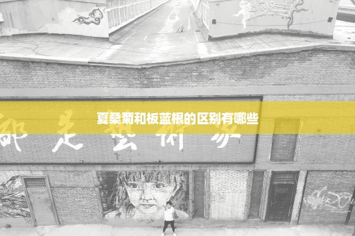 夏桑菊和板蓝根的区别有哪些