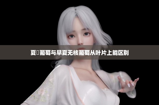 夏黒葡萄与早夏无核葡萄从叶片上能区别
