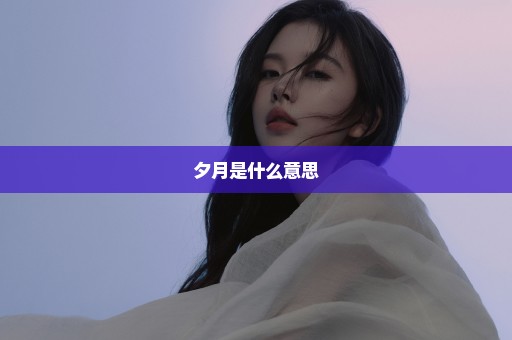 夕月是什么意思