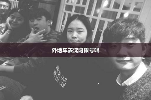 外地车去沈阳限号吗