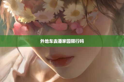 外地车去潘家园限行吗
