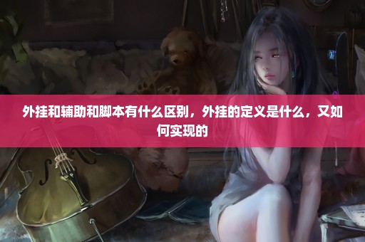 外挂和辅助和脚本有什么区别，外挂的定义是什么，又如何实现的