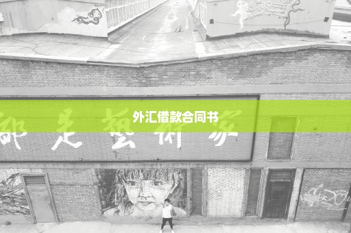 外汇借款合同书