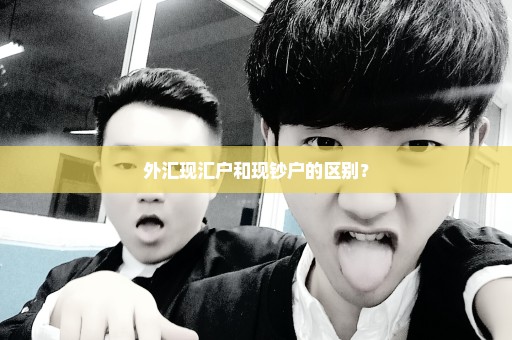 外汇现汇户和现钞户的区别？