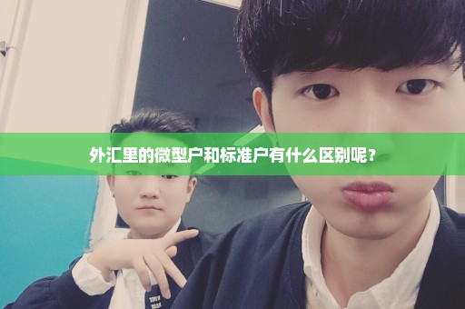 外汇里的微型户和标准户有什么区别呢？