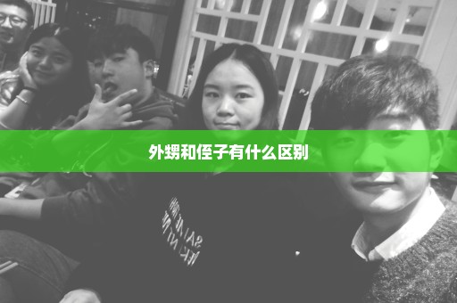 外甥和侄子有什么区别