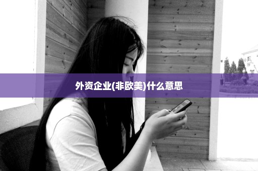 外资企业(非欧美)什么意思
