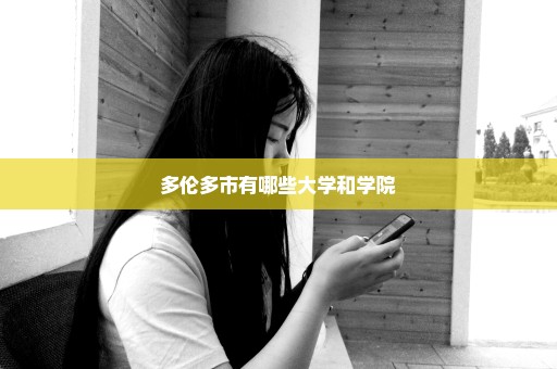 多伦多市有哪些大学和学院