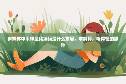 多媒体中采样量化编码是什么意思，求解释，听得懂的那种
