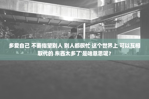 多爱自己 不要指望别人 别人都很忙 这个世界上 可以互相取代的 东西太多了'是啥意思呢？