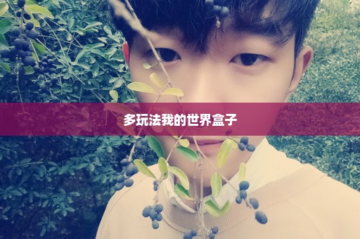 多玩法我的世界盒子