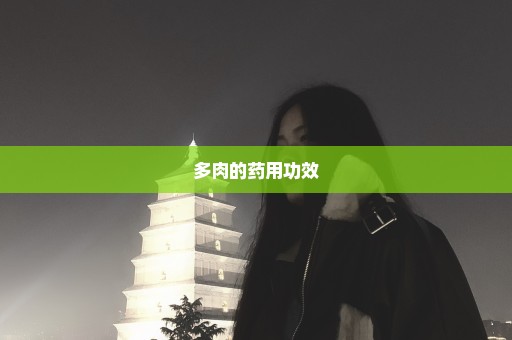多肉的药用功效