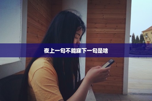 夜上一句不能寐下一句是啥