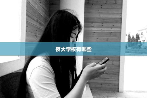 夜大学校有哪些
