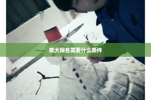 夜大报名需要什么条件
