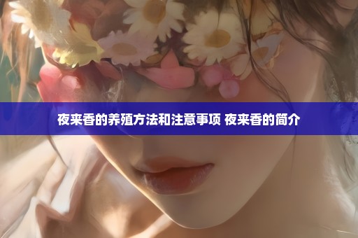 夜来香的养殖方法和注意事项 夜来香的简介