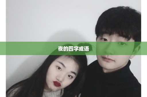 夜的四字成语