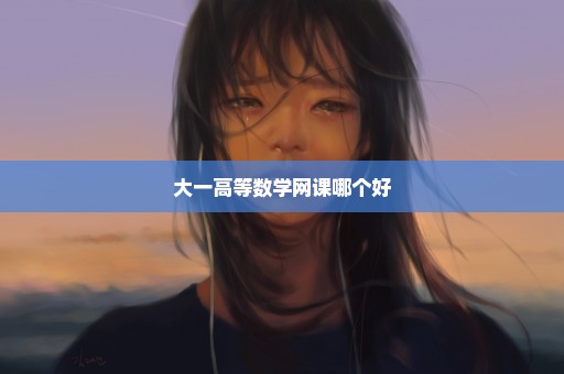大一高等数学网课哪个好