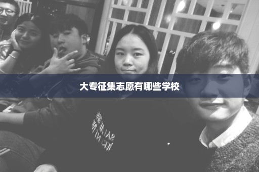 大专征集志愿有哪些学校