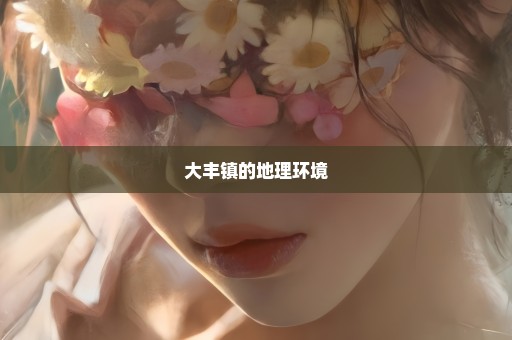 大丰镇的地理环境
