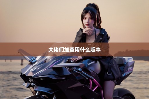 大佬们加查用什么版本