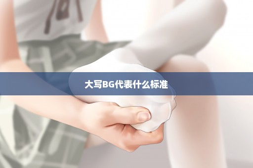 大写BG代表什么标准