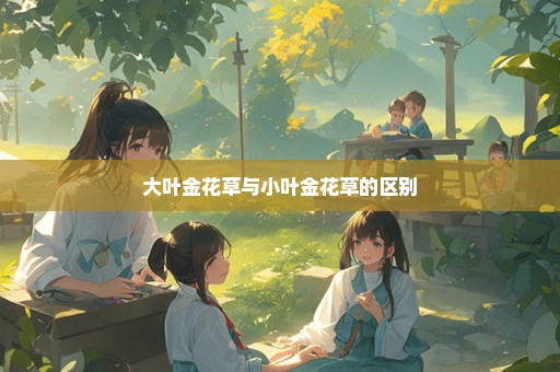 大叶金花草与小叶金花草的区别