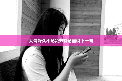 大哥好久不见贤弟有话直说下一句