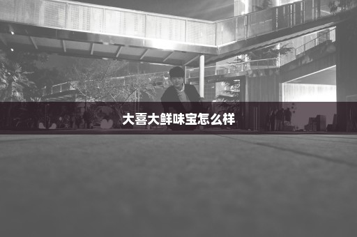 大喜大鲜味宝怎么样