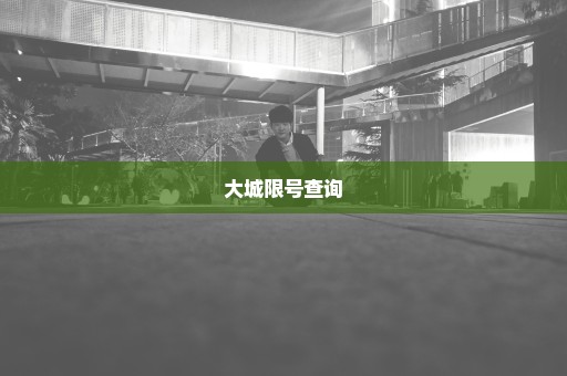 大城限号查询