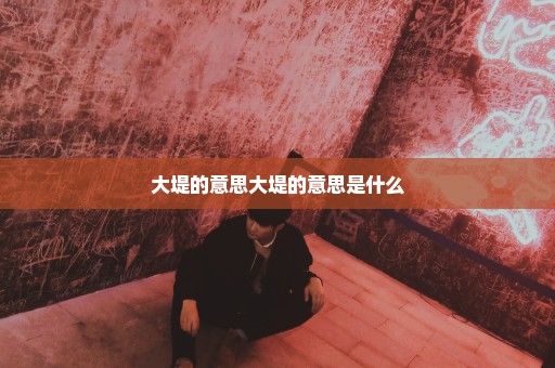 大堤的意思大堤的意思是什么