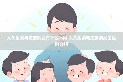 大头鹦鹉与虎皮鹦鹉有什么不同 大头鹦鹉与虎皮鹦鹉的区别介绍