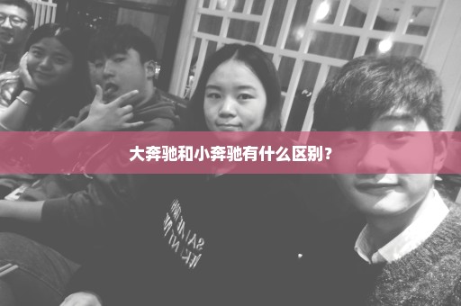 大奔驰和小奔驰有什么区别？