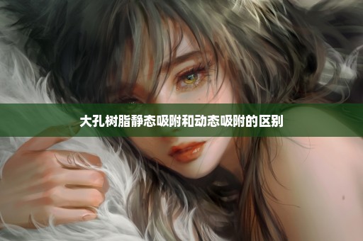 大孔树脂静态吸附和动态吸附的区别