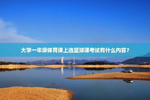 大学一年级体育课上选篮球课考试有什么内容？